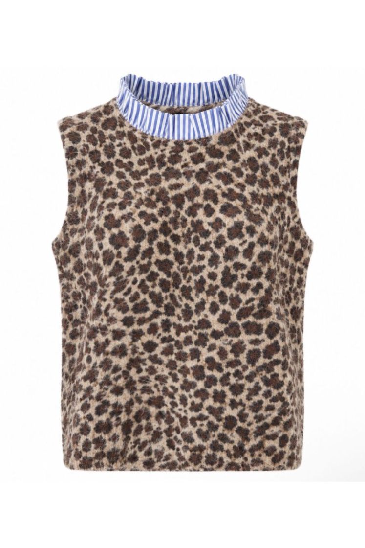 8791 leopard
