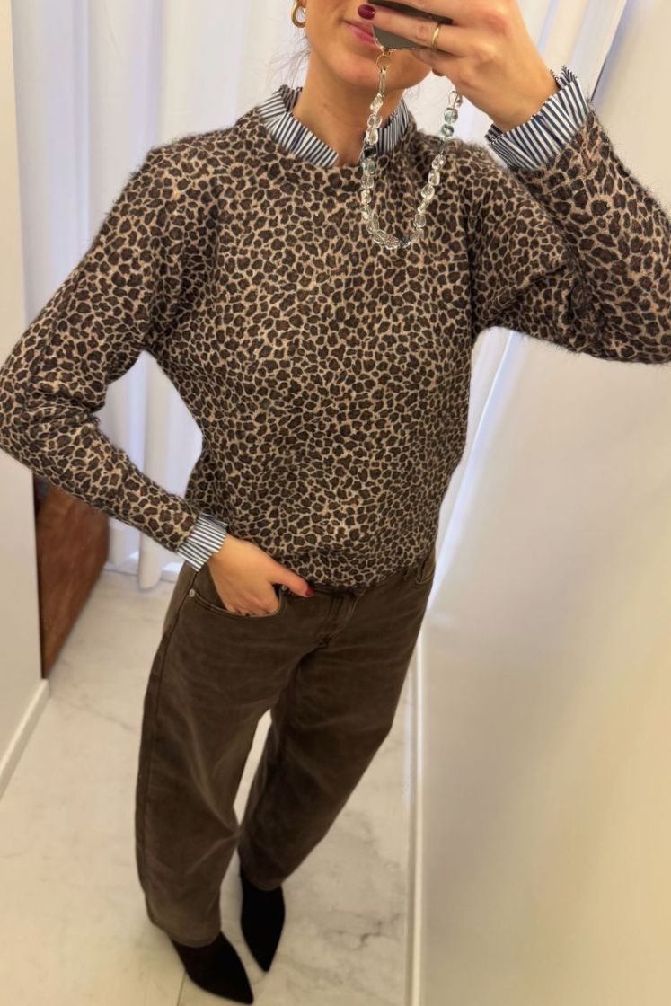 8792 LEOPARD leopard